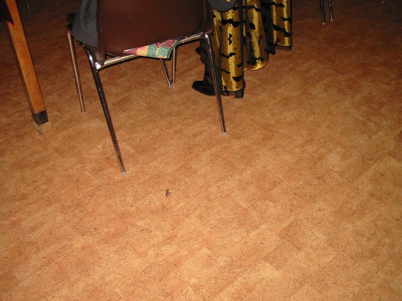Fasterla 2007 001