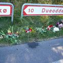 Billede 016