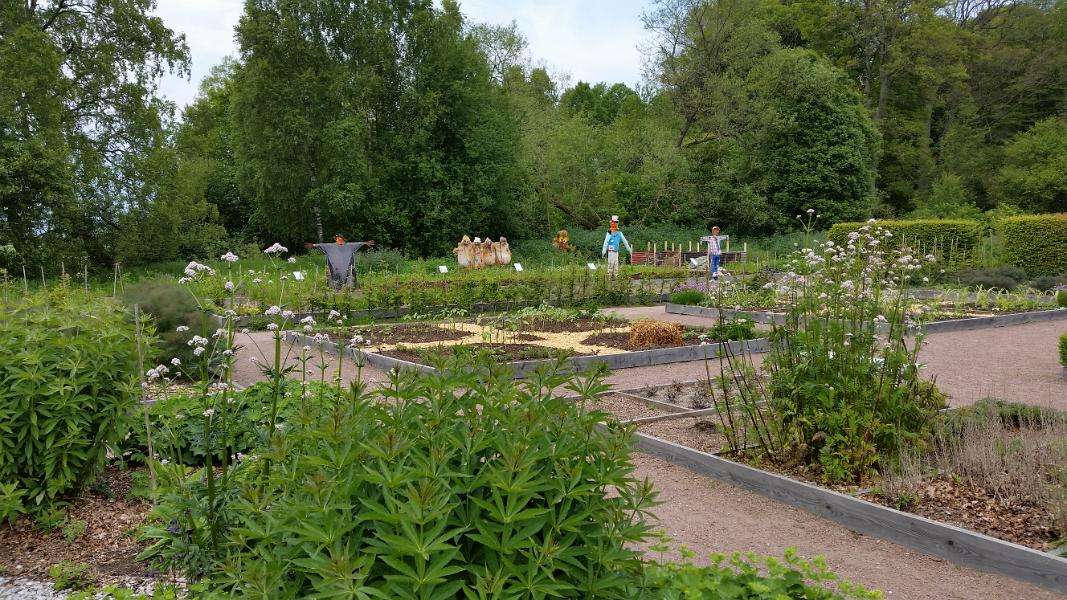 20150613_171649