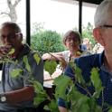 IMG_20180616_122426