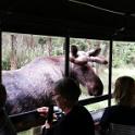 IMG_20180616_123925