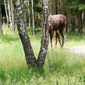 IMG_20180616_124156